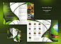 MineralKat - Brochure A4 by pho3nix-bf