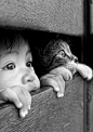 Le regard d'un chat et d'un enfant: 