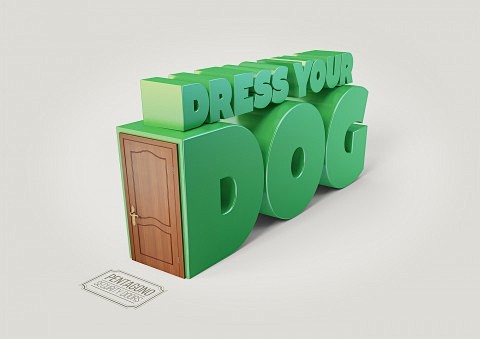 Dress your dog | Pen...