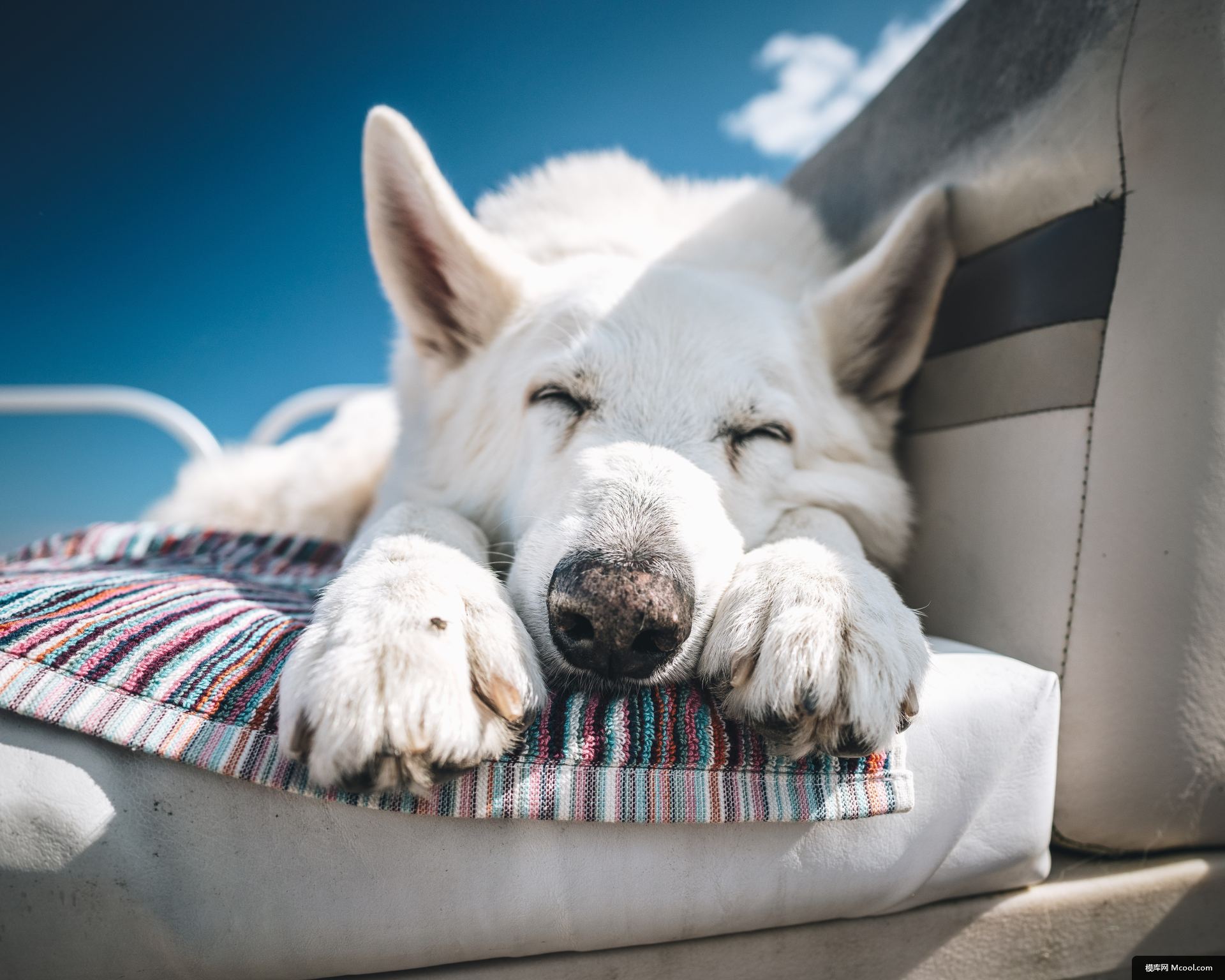 acb47af9680de776e24aec63fb380aa582f26c7b468f1-aqJJMR