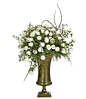 Rose (WF245): Rose Tangle | White | Brass Urn: 