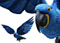 Panasonic 3D Blue Macaws on the Adweek Talent Gallery