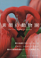 “素顔の動物園 The real zoological garden : 熊本日日新聞社 : Amazon.co.jp
”