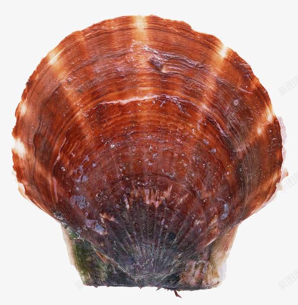 accbcd584c284edc16a7e9bff703f62ecb4fbe83e12b-GWuAed