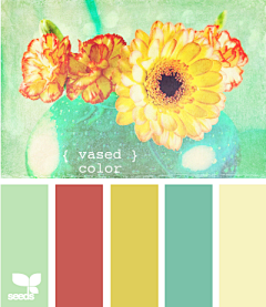 路遥suvan采集到Visual _Color Matching