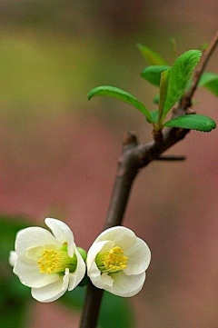 诠释*采集到花花世界