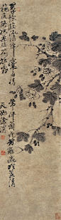 禁林 [http://391784929.qzone.qq.com]木芙蓉 
明代 刘理　　
释文：翠幄临流结绛囊　多情长伴菊花芳。谁怜冷落清秋后，能把柔姿独拒霜。　　天池徐渭