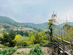 一半青山一半绿水采集到速写-风景