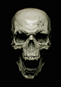 #Skull #Zbrush