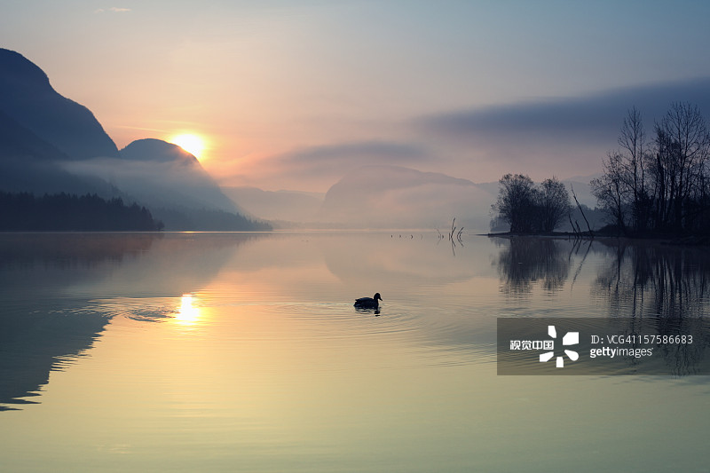 ad509a70721b1c824ff38d911d8f5f485f19db5d1259e-8jHo2r