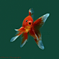 06466-Goldfish