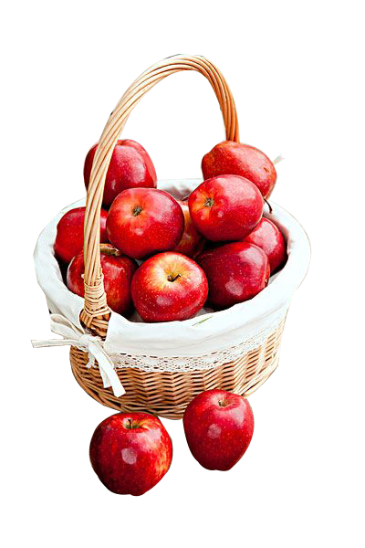 ad6d926e00d13611f2471ddf9e2b8f55121748dd34efb-IQQtDv