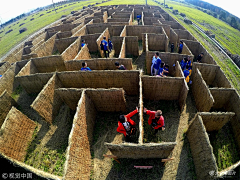 齐尚景观-庭院/文旅采集到迷宫/农场植物迷宫/农场农庄规划设计/乡村振兴/休闲观光农业