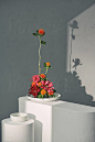 Marc Tran为Stocksy United设计的美丽ikebana bouguet自然花