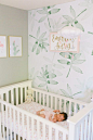 Soothing Tropical Nursery with Hints of Pink - pink and light green nursery