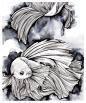 Pen and Ink drawing of Betta Fish, Betta Splendens: