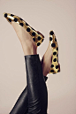 Quinnie Pointed Toe Flat by Loeffler Randall