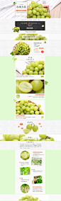青提 葡萄  水果  绿色  纯色   生鲜  食物 食材 专题