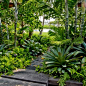 Inspiration for a tropical landscaping in Hawaii.