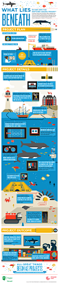 Infographic: What Lies Beneath: Diving Into the Neptune Canada Project