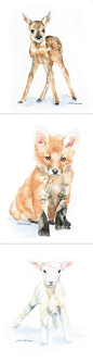 These water color prints would be great for a nursery :) by Susan Windsor Fine Art on ETSY.