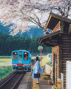 一尾鱼*采集到风景