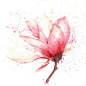 位图 写意花卉 植物 花朵 免费素材www.58pic.com/tupian    sdjkslk@北坤人素材