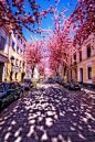 樱桃砖道，波恩，德国