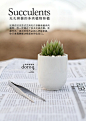 无孔容器的多肉植物钵植http://site.douban.com/widget/notes/1512775/note/142459972/