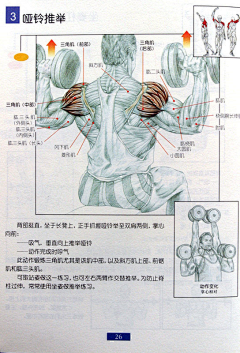 精气神采集到百科