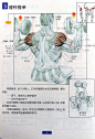 男子健身方法动作标准图示（值得男人收藏）