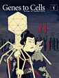 【平面】日本科学杂志《Genes to Cells》封面欣赏，让人耳目一新。