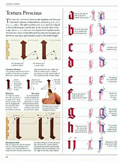 薪穷打工人采集到钢笔字帖