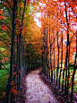 autumn path.