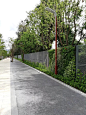 大沙河生态长廊景观示范段垂直绿化工程--工程案例--江西植物墙立体绿化_南昌市室内装饰绿化-江西可邦绿色环境产业有限公司