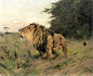 Oil-paintings of Lions by Wilhelm Kuhnert (German, 1865-1926)