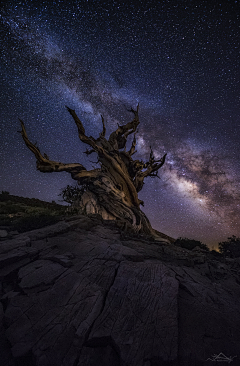 嘿荳荳采集到璀璨星空