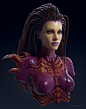 Starcraft’s Sarah Louise Kerrigan 3D fan art created in 3dsmax, Zbrush, Photoshop & Vray by d33mon (Dmitry Cheremisin) of  Kyiv, Ukraine!!! http://d33m0n.cghub.com/images/