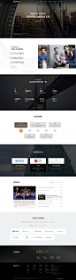 盛业资本官网设计——尼高提供上市公司网站设计，专注金融行业网页设计