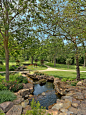 Natural Pools : A selection of natural and informal swimming pools designed and built by Harold Leidner Landscape Architects - www.haroldleidner.com