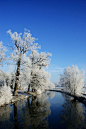 冰雪银光，好一派冬日的雪景