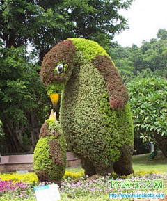 东南西北发采集到花艺