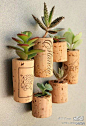 手工 家居生活 用瓶塞做的微型植物。