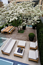 Another view of this stylish garden | adamchristopherdesign.co.uk: 