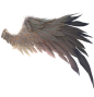 翅膀2