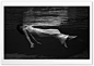 Woman Swimming HD Wide Wallpaper for 4K UHD Widescreen desktop & smartphone