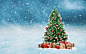 唯美圣诞节圣诞树高清图片 - 素材中国16素材网