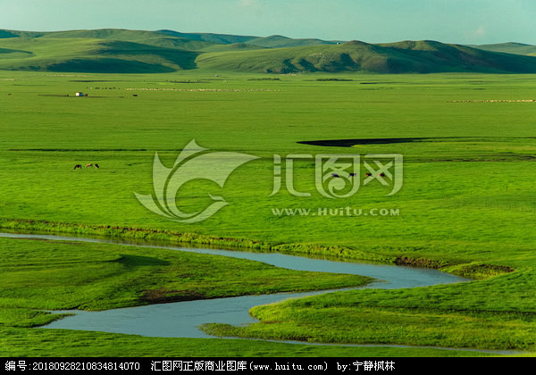 夏季草原河流牛群羊群