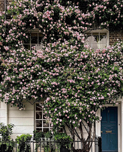 ·菩提心·采集到《留花且住》