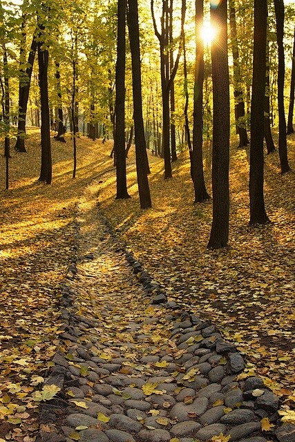秋季路径，巴伐利亚，德国 